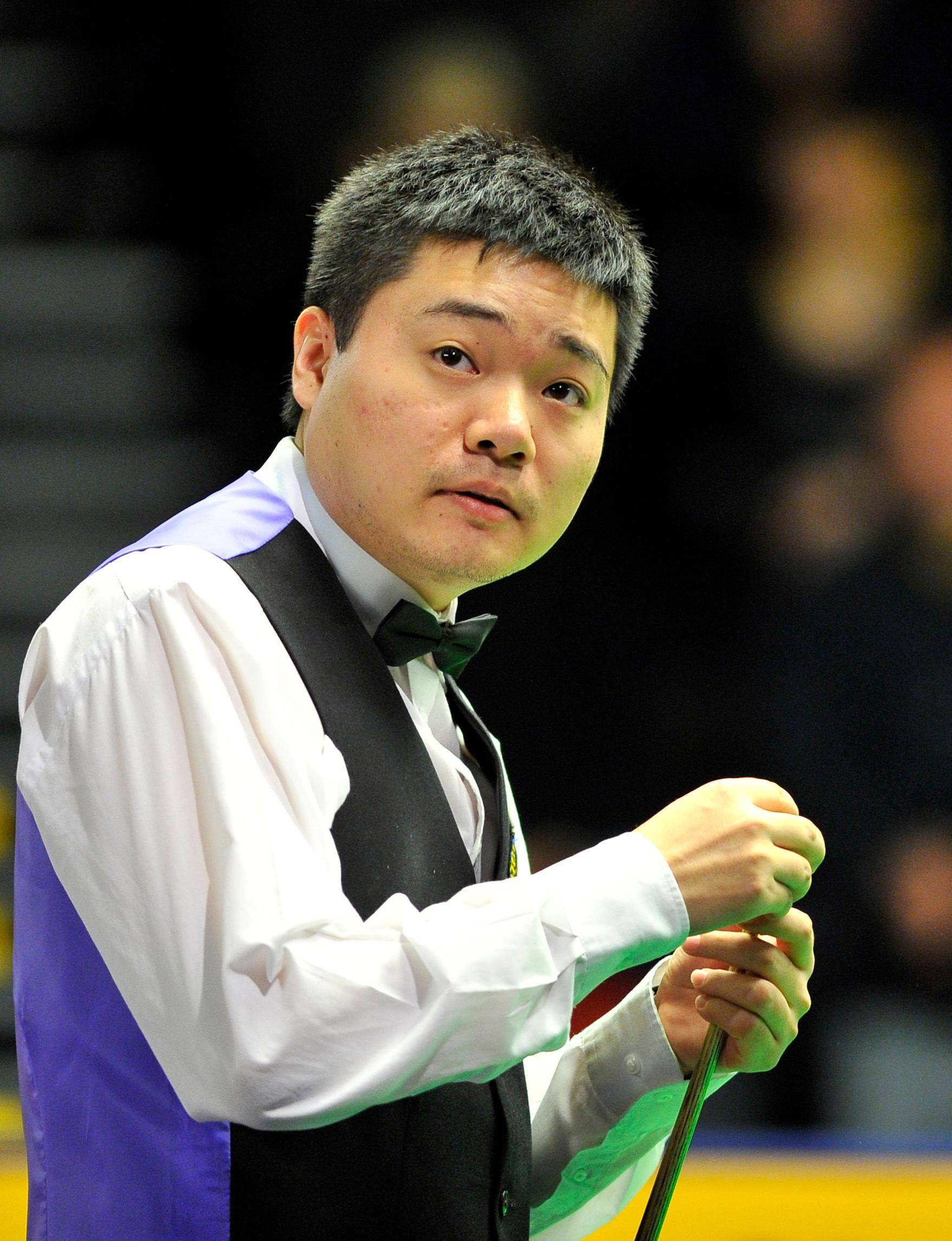 广受欢迎的 广受欢迎的