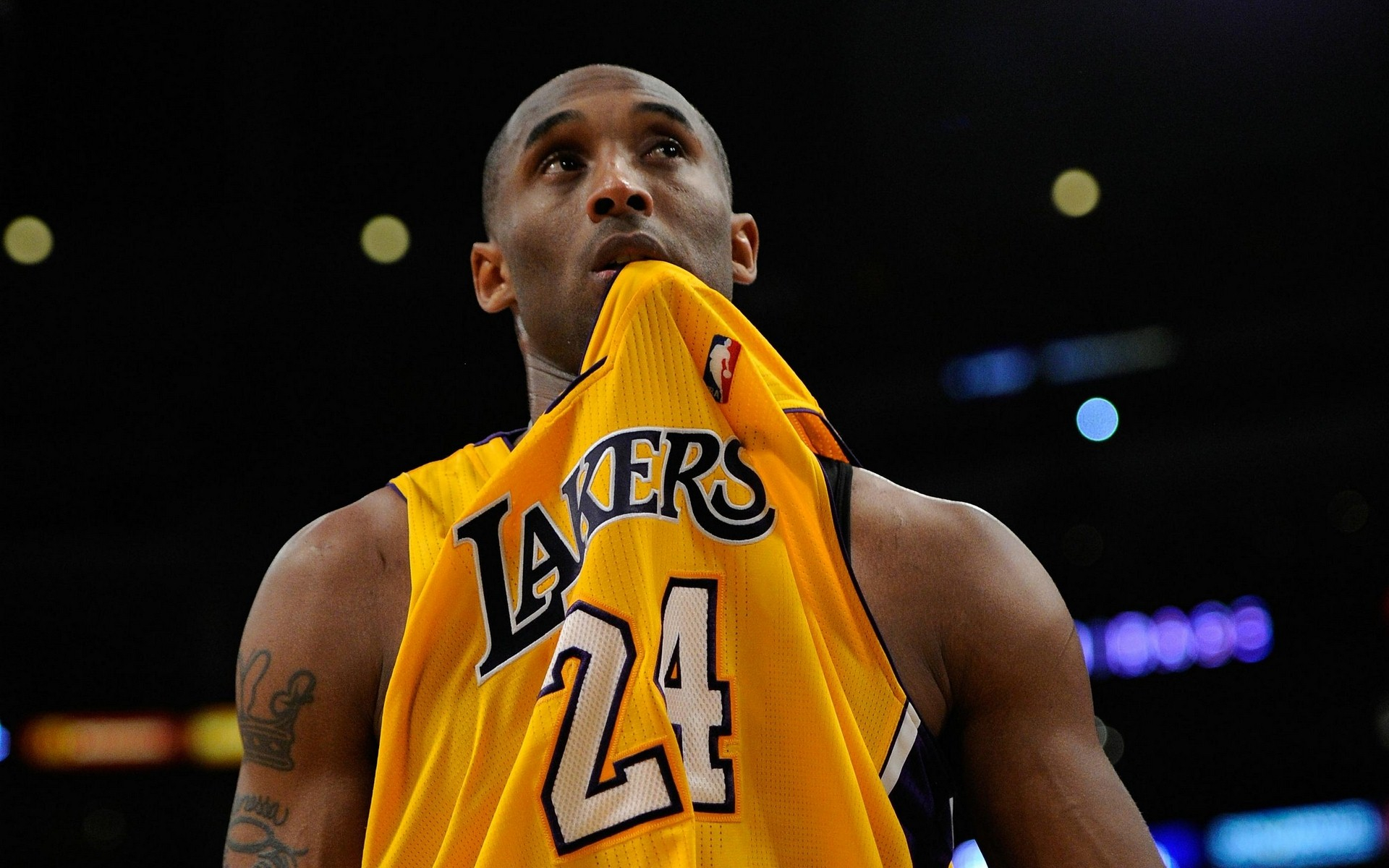 的欢呼和期 的欢呼和期